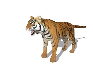 精品动物模型 老虎(2)